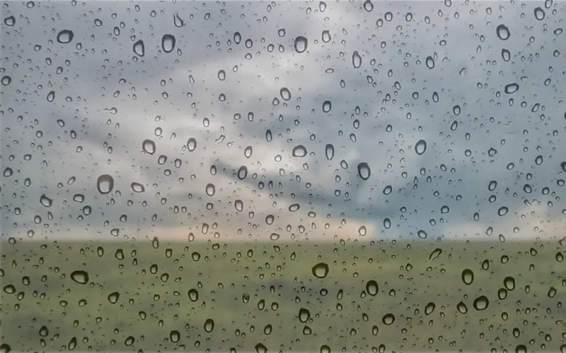 Water Droplets on Window