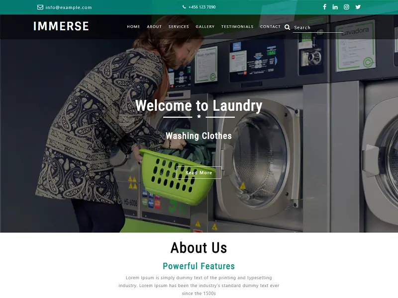 #Immerse: Free Laundry HTML Website Templates