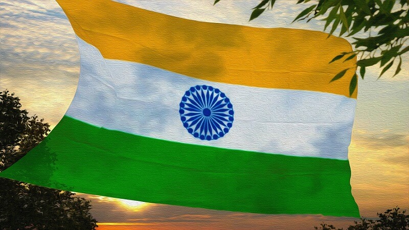 Indian Flag 39